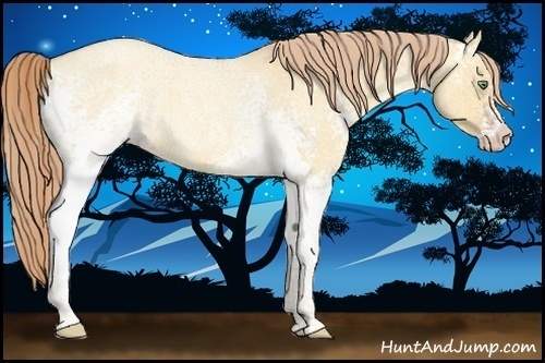 Horse Color:White Spotted Gold Champagne Ice Roan Dun Rabicano