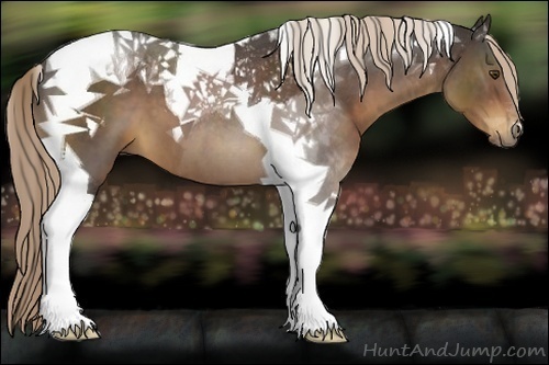 Horse Color:Liver Chestnut Tobiano