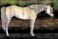 Horse Color:Nacre Silver Brown Onyx 