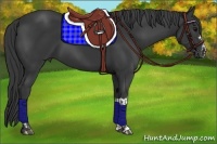 Horse Color:Black  and Black 