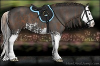 Horse Color:Liver Chestnut Splash  and Black Splash 