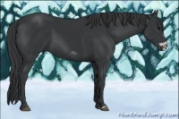 Horse Color:Black and Black Frame