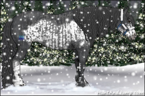 Horse Color:Blue Roan  and Blue Roan Frame 