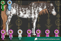 Horse Color:Liver Chestnut Sabino