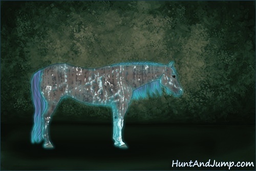 Horse Color:Painted Thunderstruck White Spotted Black and Grullo