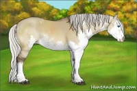 Horse Color:White Spotted Silver Brown Dun Splash Rabicano