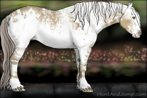 Horse Color:White Spotted Chocolate Palomino Dun Rabicano