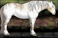 Horse Color:White Spotted Chocolate Palomino Dun Rabicano 