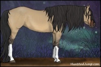 Horse Color:Brown Dun