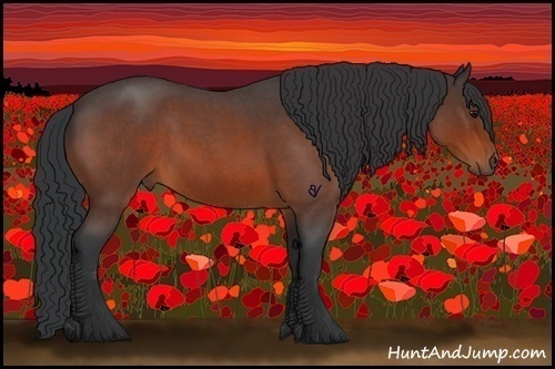 Horse Color:Bay Roan 