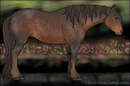 Horse Color:Liver Chestnut Sabino 