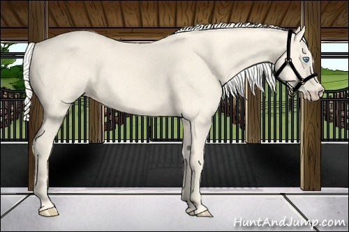 Horse Color:Cremello 