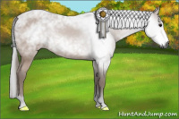 Horse Color:Gray Bay 
