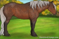 Horse Color:Silver Bay Rabicano 