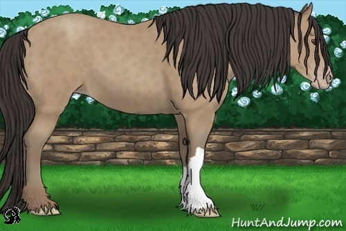 Horse Color:Classic Champagne 