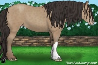 Horse Color:Classic Champagne 