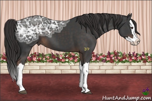 Horse Color:Liver Chestnut Ice Splash 