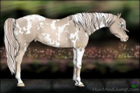 Horse Color:White Spotted Chocolate Palomino Pearl 