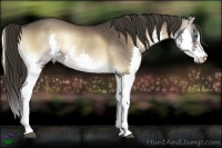 Horse Color:Liver Red Onyx Splash Rabicano