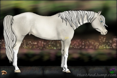 Horse Color:Chocolate Palomino Pearl Rabicano 