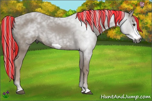 Horse Color:Gray Painted Chestnut Frame 