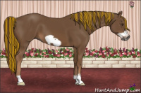 Horse Color:Gray Painted Chestnut Frame 