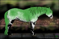 Horse Color:Watercolor White Spotted Black