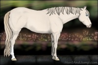 Horse Color:Perlino 
