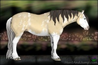 Horse Color:White Spotted Amber Cream Champagne Dun Sabino Splash 
