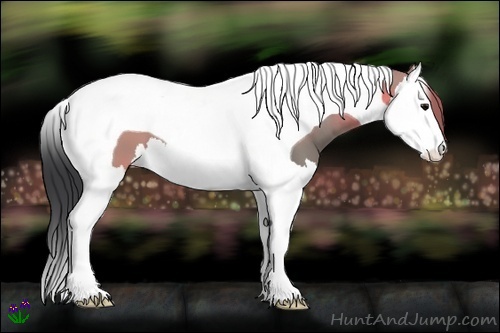 Horse Color:Grullo Splash Tobiano