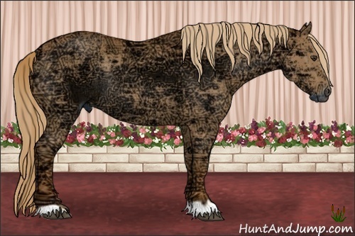 Horse Color:Chestnut Ice Rabicano 