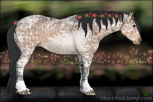 Horse Color:Brown Ice Rabicano