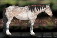 Horse Color:Brown Ice Rabicano