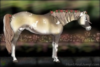 Horse Color:White Spotted Chocolate Palomino Onyx 