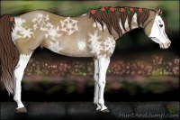 Horse Color:Liver Red Dun Ice Splash Rabicano