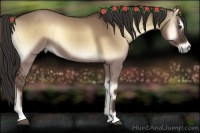 Horse Color:Liver Red Dun Onyx Sabino 