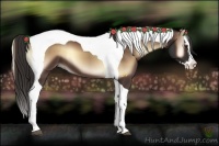 Horse Color:Liver Red Onyx Splash Tobiano