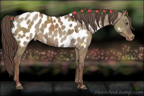 Horse Color:Liver Red Dun Near Leopard