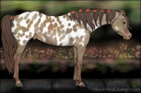 Horse Color:Liver Red Dun Near Leopard 