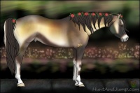 Horse Color:Liver Red Onyx