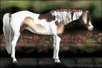 Horse Color:Liver Red Onyx Tobiano 