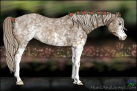 Horse Color:White Spotted Chocolate Palomino