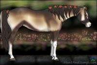 Horse Color:Liver Red Onyx Appaloosa 
