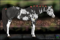 Horse Color:White Spotted Liver Chestnut Ice 