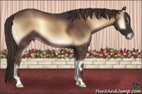 Horse Color:Liver Red Onyx 