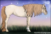 Horse Color:Buckskin Roan Pearl and Buckskin Roan Pearl