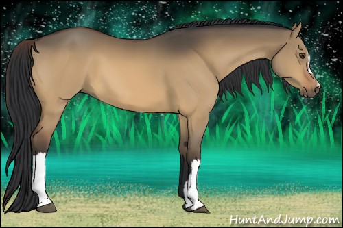 Horse Color:Brown Dun