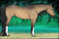Horse Color:Brown Dun 