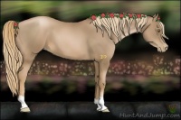 Horse Color:Liver Chestnut Pearl 