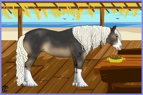 Horse Color:Liver Chestnut Splash Rabicano